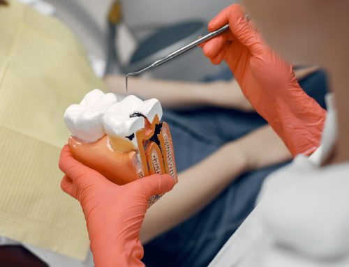 Los dentistas de la provincia tinerfeña actualizan sus conocimientos en endodoncia